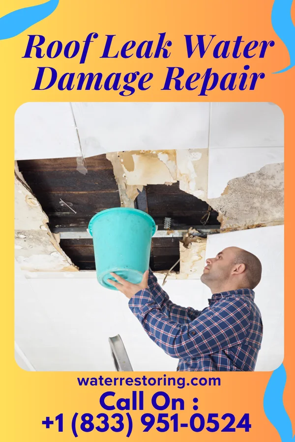 Roof Leak Water Damage Repair in Cumberland, MD