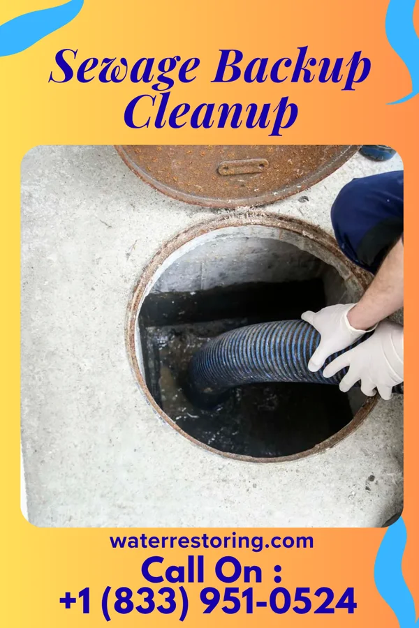 Sewage Backup Cleanup in Cumberland, MD